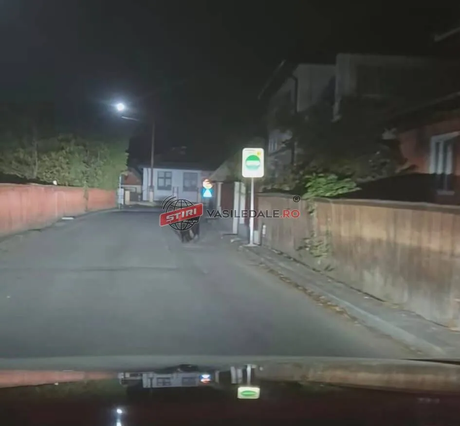 O stradă asfaltată este luminată de un stâlp de iluminat, având case și garduri pe margini sub un cer nocturn.