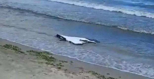 Un obiect alb și plat se află pe marginea apei, între valuri și nisipul de pe plajă.