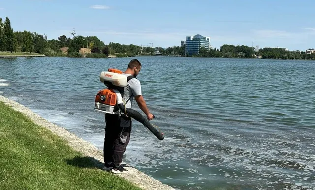 Un bărbat cu un pulverizator pe spate, stă pe malul unui lac și pulverizează lichid în apă, cu o clădire modernă în fundal.