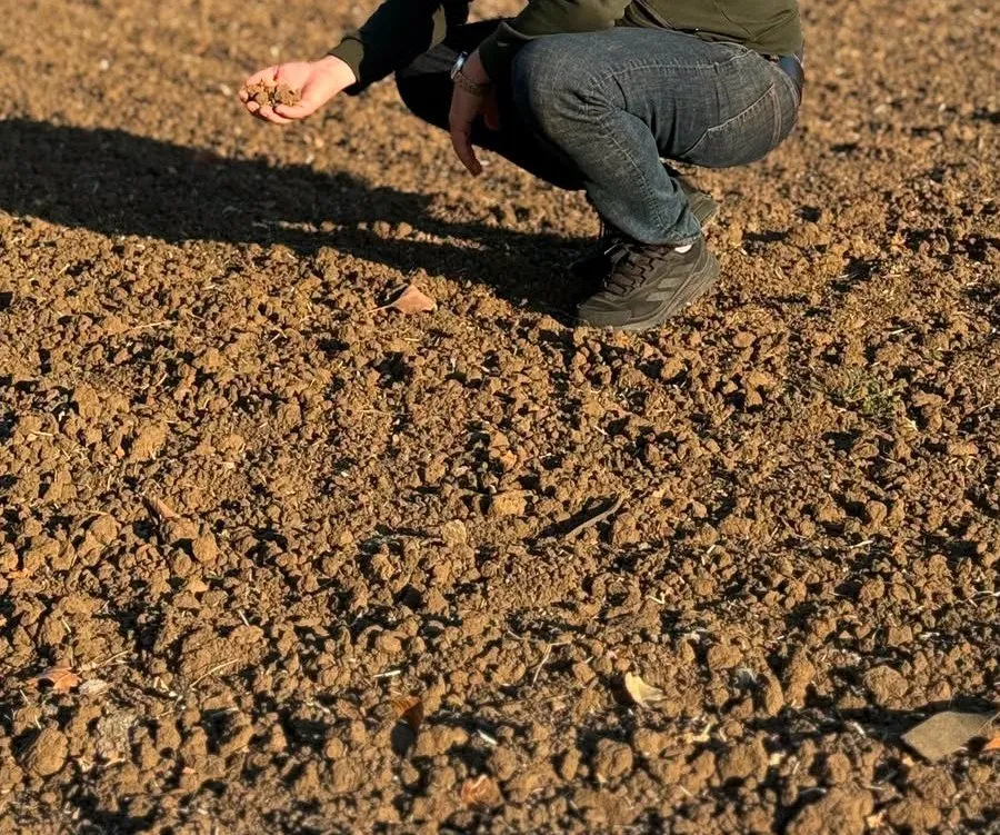 O persoană în poziție ghemuită ține în palmă o mână de pământ uscat deasupra unui câmp arat cu sol întrerupt și uscat.