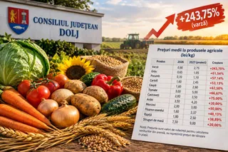 Un amestec de legume și cereale, inclusiv varză, roșii, morcovi, ceapă și porumb, este așezat în prim-plan lângă un tabel cu prețuri agricole.