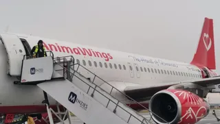 Un avion alb cu inscripția AnimaWings și o coadă roșie este parcat lângă o scară de îmbarcare cu logo-ul Menzies.