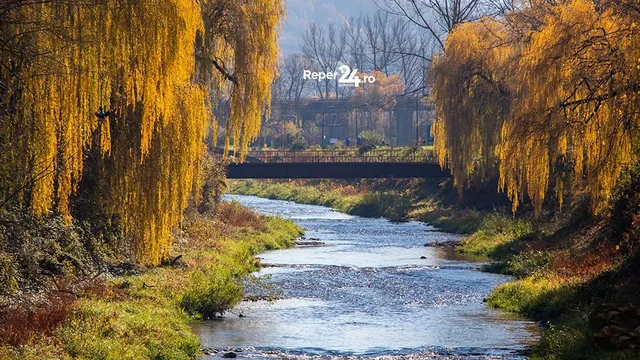 Un râu curge printre maluri cu vegetație verde și copaci cu frunziș galben sub un cer senin.