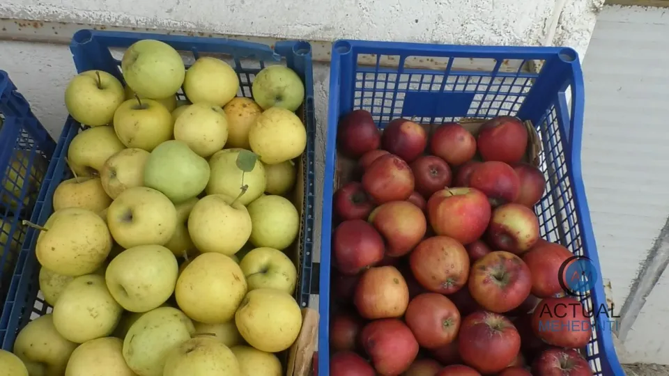 Două coșuri de plastic albastru conțin mere verzi și mere roșii de forme rotunde.