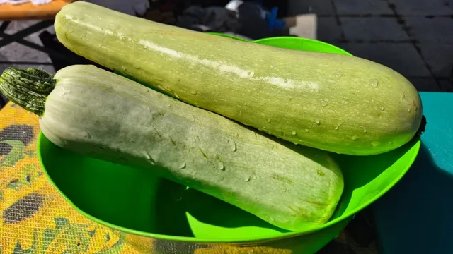 Doi dovlecei proaspeți, de culoare verde deschis, cu picături de apă pe coajă, sunt așezați într-un castron verde, pe o masă. 