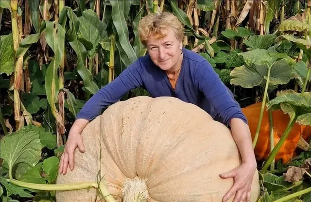O femeie cu părul scurt și blond, purtând un tricou albastru, stă sprijinită de un dovleac foarte mare de culoare deschisă.