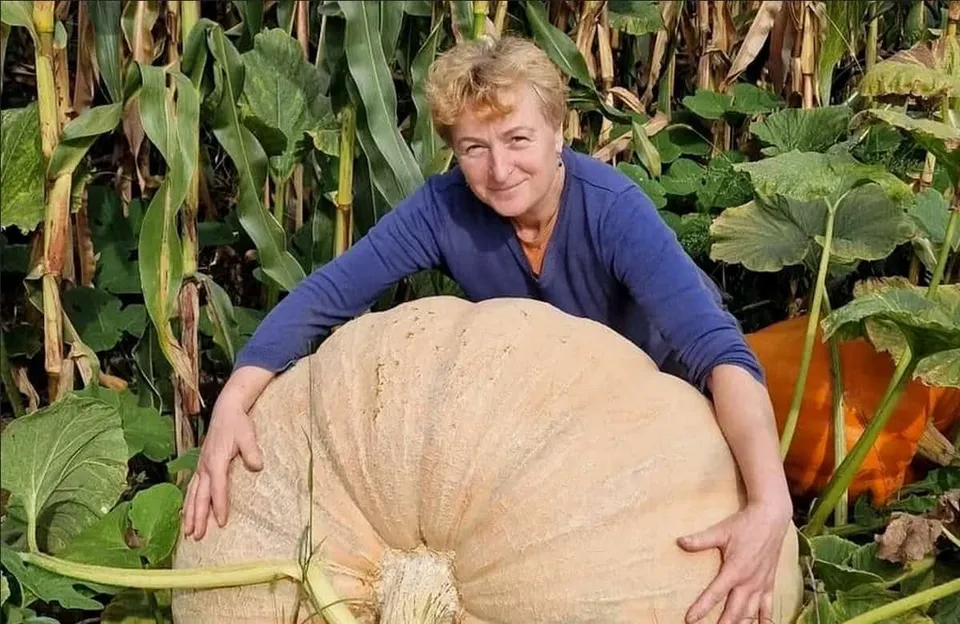 O femeie cu părul scurt și blond, purtând un tricou albastru, stă sprijinită de un dovleac foarte mare de culoare deschisă.