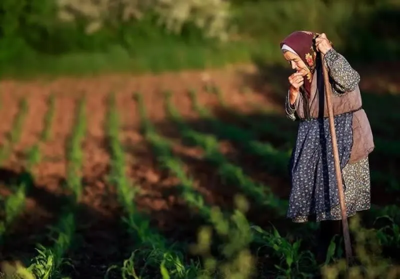 O femeie cu batic îmbrăcată într-un șorț și o fustă cu modele stă într-un câmp de plante verzi ținând un toiag de lemn.