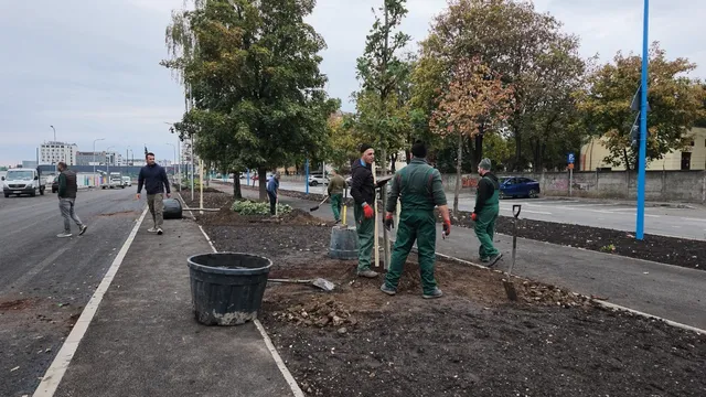 Câțiva bărbați în haine de lucru verzi lucrează pe un teren cu pământ lângă un drum asfaltat.