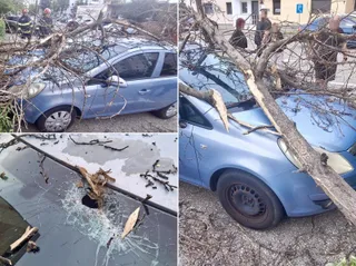 Un arbore cu ramuri desfrunite a căzut peste un autoturism albastru, având parbrizul și caroseria afectate de resturi lemnoase.