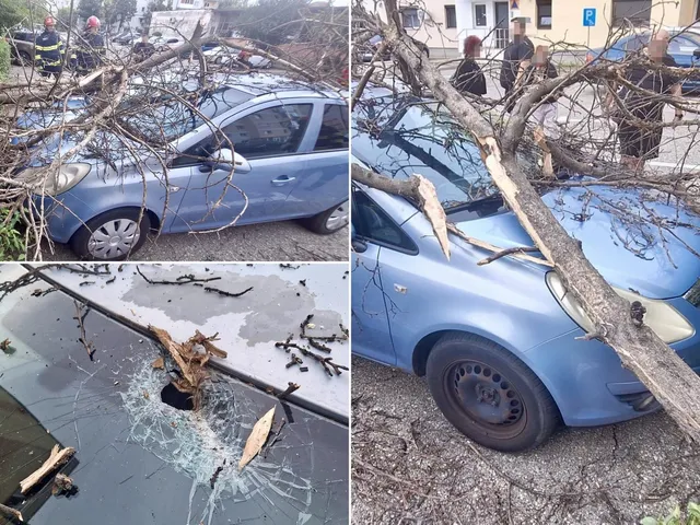 Un arbore cu ramuri desfrunite a căzut peste un autoturism albastru, având parbrizul și caroseria afectate de resturi lemnoase.