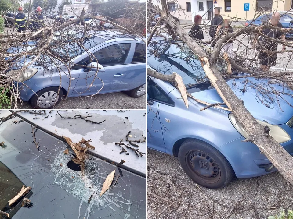 Un arbore cu ramuri desfrunite a căzut peste un autoturism albastru, având parbrizul și caroseria afectate de resturi lemnoase.