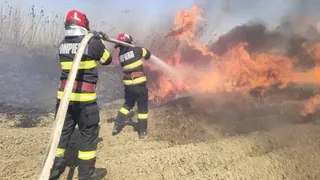 Doi pompieri în echipament de protecție negru cu benzi galbene stau cu spatele și folosesc un furtun pentru a stinge flăcările de pe un teren.