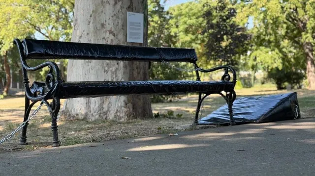 O bancă de parc neagră, acoperită cu vinil și înconjurată de lanțuri, stă pe o alee. În spatele ei, un copac mare și vegetație verde.