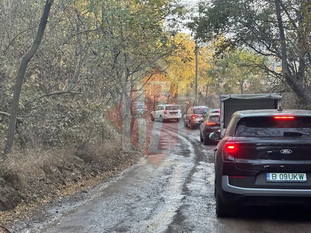 Mașini sunt parcate pe un drum neasfaltat și noroios, înconjurat de copaci cu frunziș gălbui și maroniu.