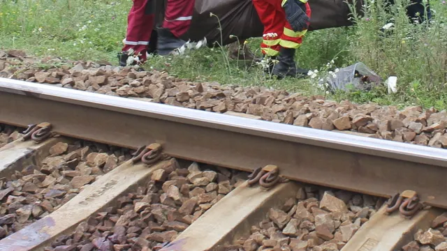 O linie ferată cu șine metalice și balast de pietriș este situată în prim-plan, cu o persoană în haine roșii întinsă pe iarbă în fundal.