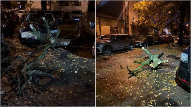 Ramuri de copac sunt împrăștiate pe un trotuar și pe un autovehicul gri parcat pe lângă un drum noaptea.