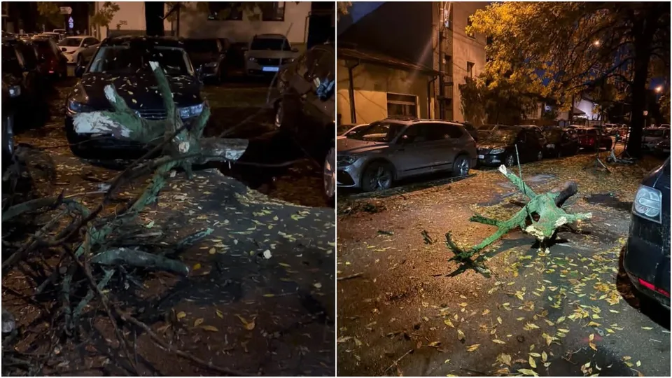 Ramuri de copac sunt împrăștiate pe un trotuar și pe un autovehicul gri parcat pe lângă un drum noaptea.