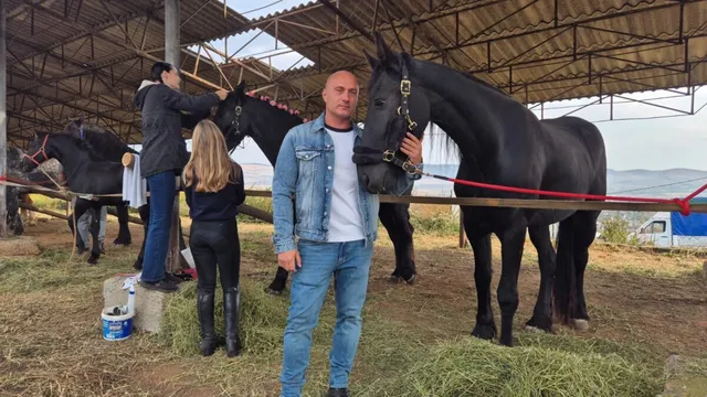 Un bărbat cu blugi și o jachetă de denim stă lângă un cal negru sub o structură acoperită cu tablă.