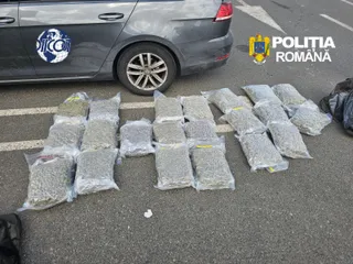 Mai multe pungi de plastic transparente conținând o substanță vegetală verde sunt așezate pe asfalt lângă un autoturism gri.