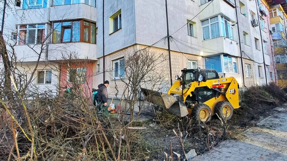 Un utilaj de construcții galben colectează ramuri uscate lângă un bloc de locuințe cu ferestre și balcoane înconjurat de vegetație lemnoasă.