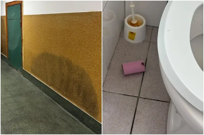 Imagine compusă din două cadre, prezentând un perete cu o pată mare de umiditate și un podea de baie cu o perie de toaletă și un obiect roz.