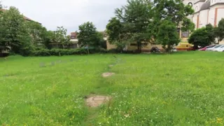 Un câmp de iarbă verde cu flori mici este situat în fața unor copaci și clădiri sub un cer înnorat.