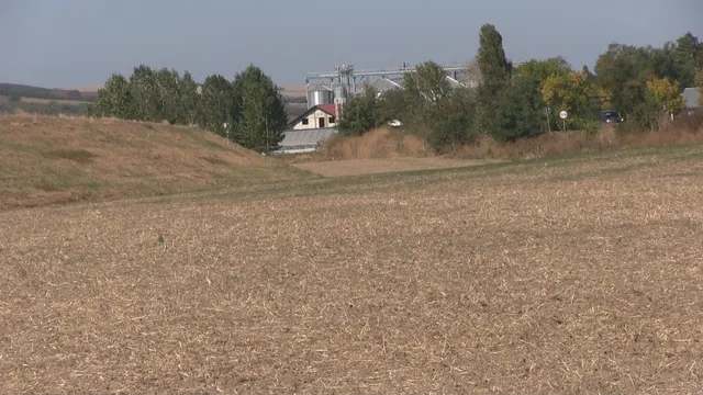 Un câmp arat cu resturi vegetale uscate se întinde în prim-plan, având copaci și câteva clădiri în fundal sub un cer senin.