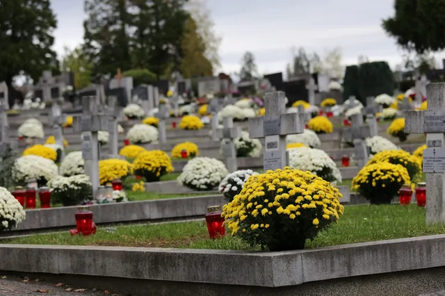 Mai multe morminte cu cruci de piatră sunt decorate cu flori galbene și albe și lumânări mici în interiorul unui cimitir.