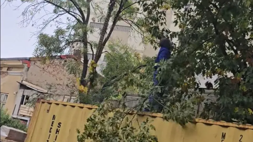 O persoană cu haine albastre se află în spatele unor ramuri de copac într-un spațiu exterior lângă un container galben.