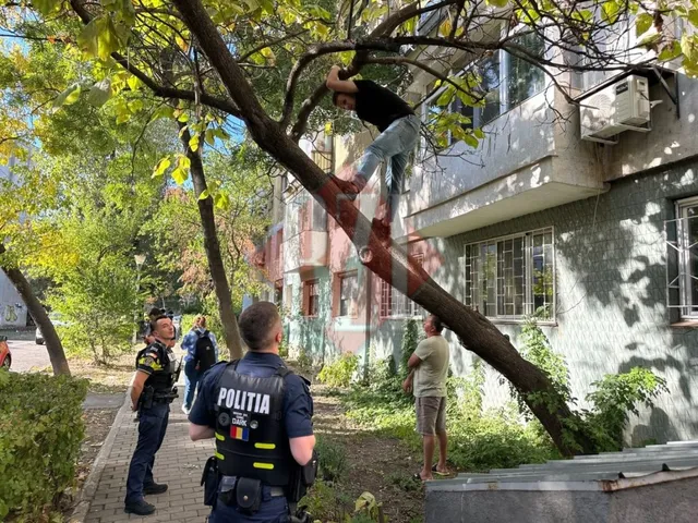 Un bărbat stă pe o ramură de copac, în timp ce doi polițiști și un alt bărbat privesc de jos.