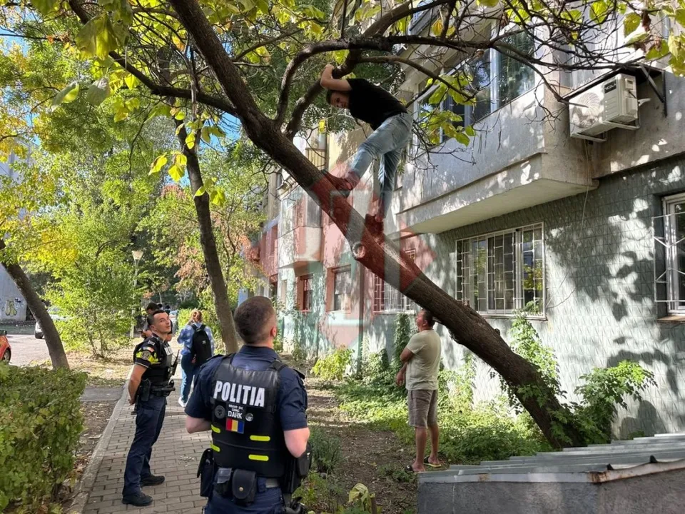 Un bărbat stă pe o ramură de copac, în timp ce doi polițiști și un alt bărbat privesc de jos.