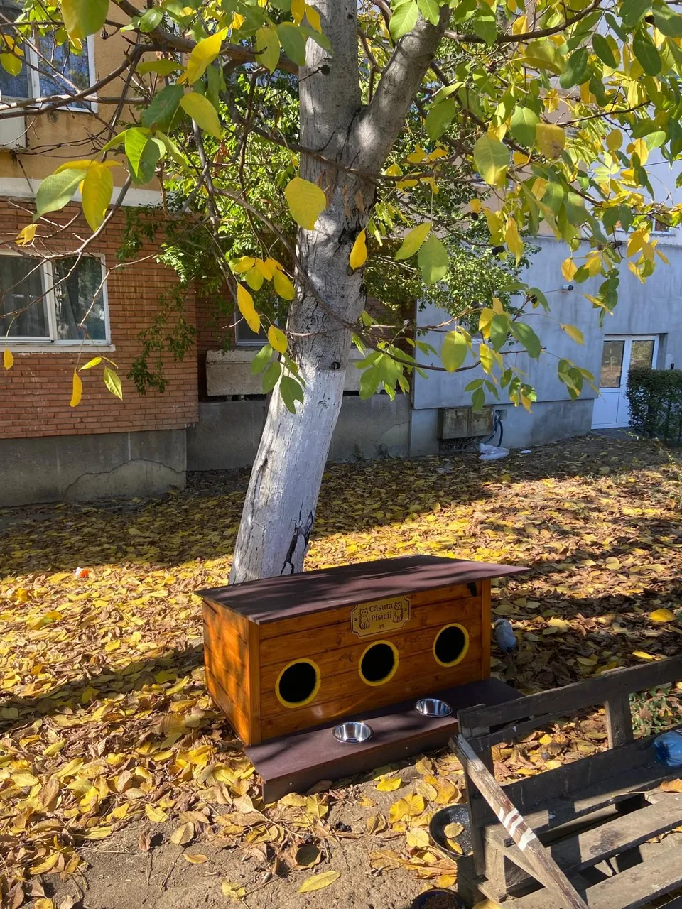 O căsuță din lemn cu trei orificii circulare este amplasată pe iarbă acoperită de frunze căzute, lângă un copac și o clădire.