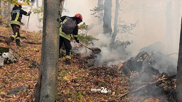 Două persoane în uniforme de intervenție cu cască folosesc unelte pentru a lucra într-o zonă de pădure cu fum și resturi vegetale arse.