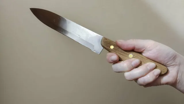 O mână ține un cuțit cu mâner de lemn și lamă metalică pe un fundal de culoare neutră.