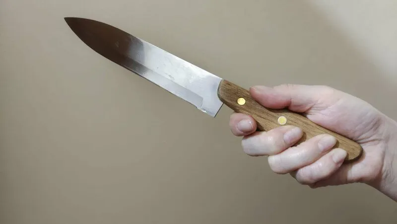 O mână ține un cuțit cu mâner de lemn și lamă metalică pe un fundal de culoare neutră.