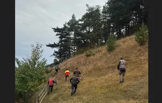 Cinci persoane merg pe o pantă acoperită cu iarbă uscată și copaci de sub un cer înnorat.