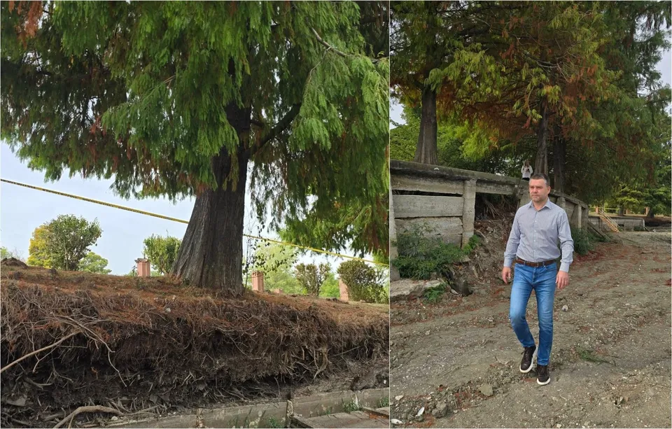 Un bărbat merge pe un drum de pietriș lângă un zid de beton și un copac cu frunziș verde și brun.