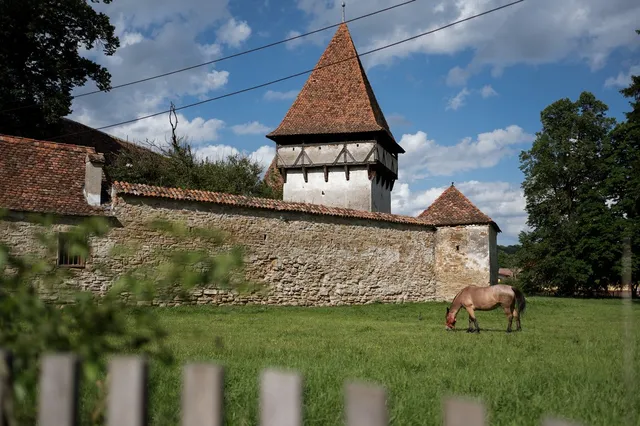 Un cal maro pășune pe un câmp de iarbă verde în fața unui zid de piatră și a unui turn cu acoperiș conic de țiglă.