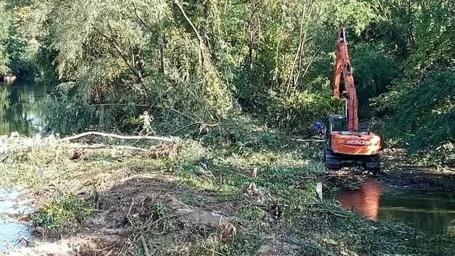 O excavatoare portocalie este poziționată pe malul unui râu lângă vegetație densă și resturi de ramuri întinse pe sol.