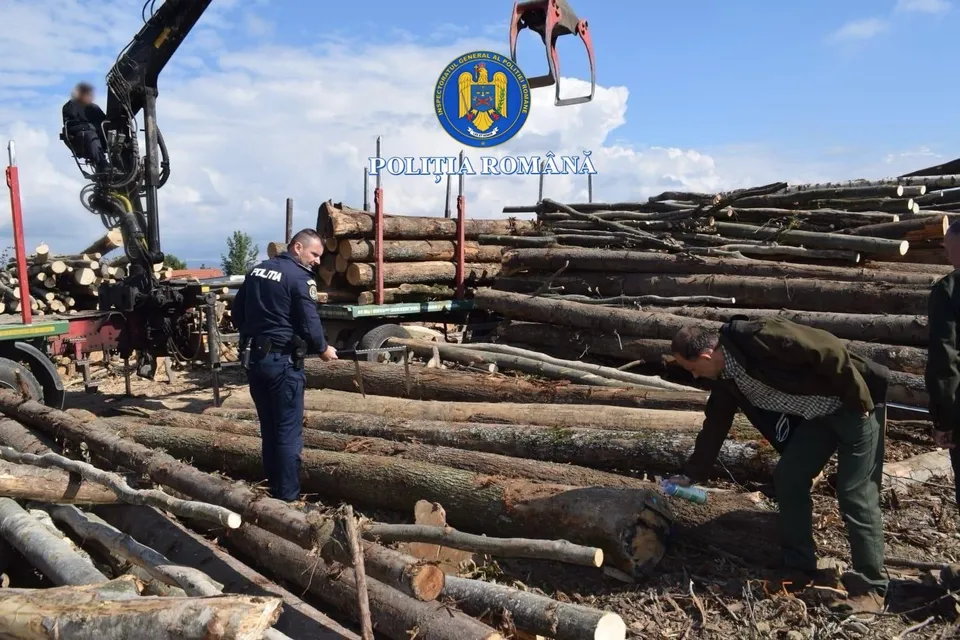 Un bărbat în haine închise se apleacă lângă niște bușteni de lemn, în timp ce un alt bărbat în uniformă albastră stă lângă un utilaj.