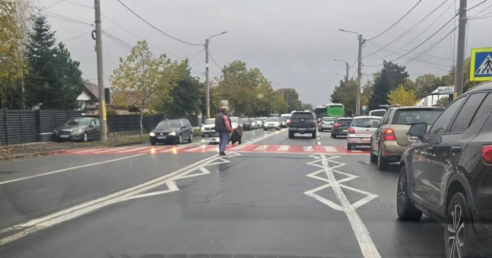 O persoană merge pe o trecere de pietoni marcată pe asfaltul unei străzi cu mai multe autoturisme parcate sau în trafic.