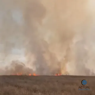 Columni dense de fum de culoare maro și gri se ridică deasupra unui câmp de vegetație uscată sub un cer deschis.