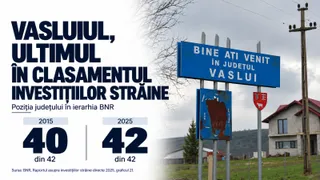 Un indicator albastru pe un stâlp metalic indică intrarea în județul Vaslui sub un cer înnorat.