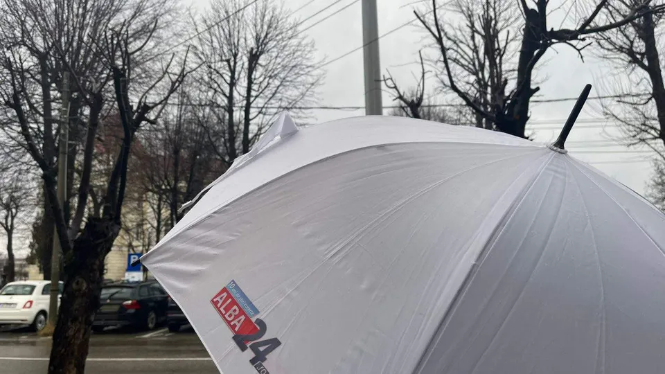 Un umbrelă albă cu un logo colorat este poziționată în prim-plan, sub arbori fără frunze și cabluri electrice.
