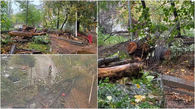 O compilație de patru imagini arată un copac prăbușit, trunchiuri tăiate, crengi și resturi vegetale pe un trotuar și lângă o parcare, în urma intervenției pompierilor.