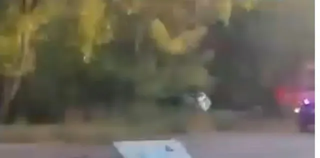 O imagine neclară surprinde vegetație și un obiect luminos pe un fundal întunecat.