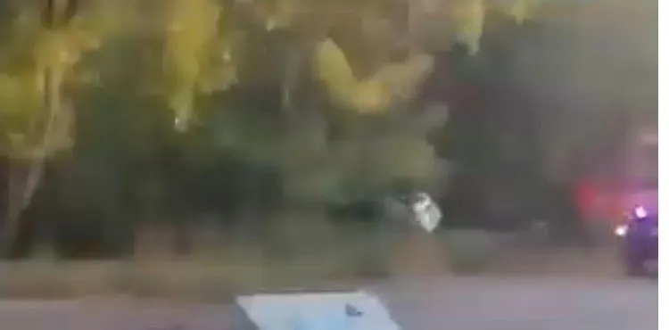 O imagine neclară surprinde vegetație și un obiect luminos pe un fundal întunecat.