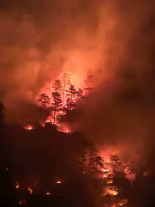 Copacii de pe un versant muntos sunt iluminați de flăcări și înconjurați de fum dens într-o lumină portocalie.