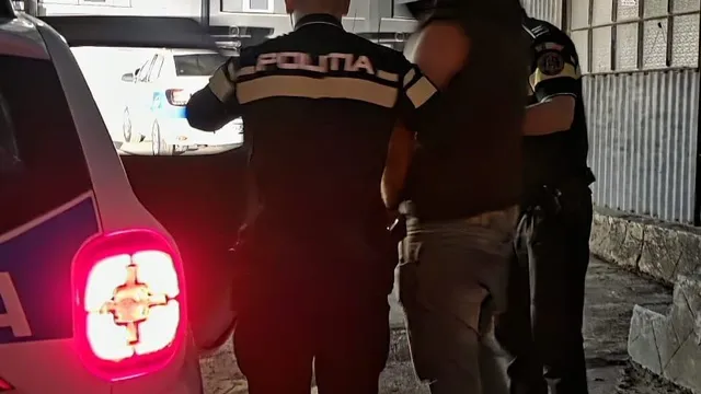 Doi polițiști în uniformă, cu spatele la cameră, rețin o persoană, lângă o mașină de poliție cu stopul aprins.